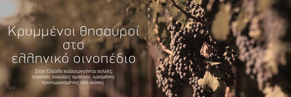 Ελληνικοί αμπελώνες - Greek Vineyards